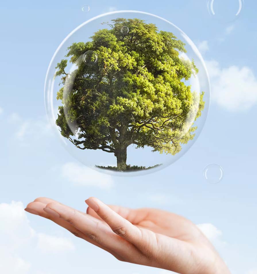 Environmental responsibility